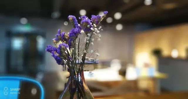 AQUOS S2のサンプル写真