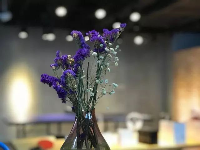 iPhone7　Plusのサンプル写真