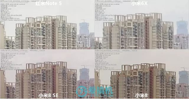 昼間撮った写真