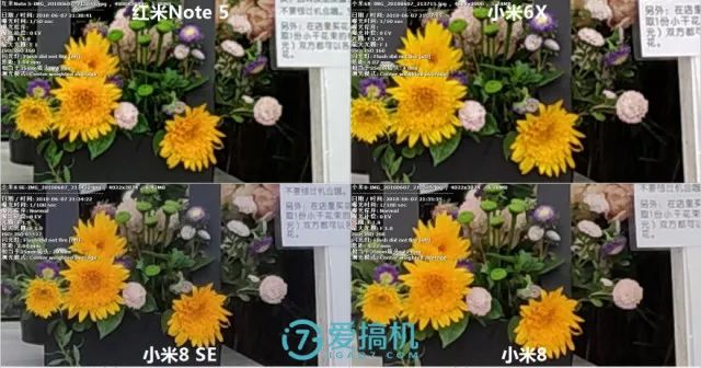 照明のある写真比較