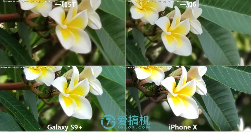 虚化とズームモードでの写真比較