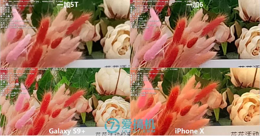 昼間シーン写真比較