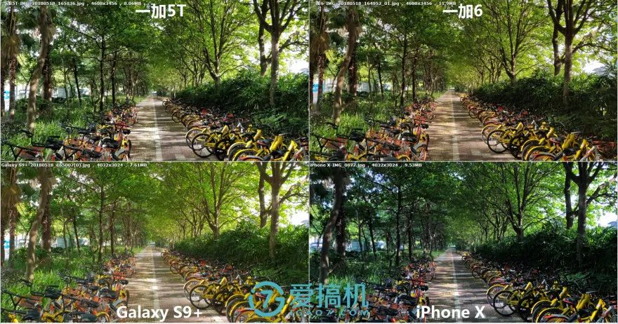 昼間シーンの写真比較1