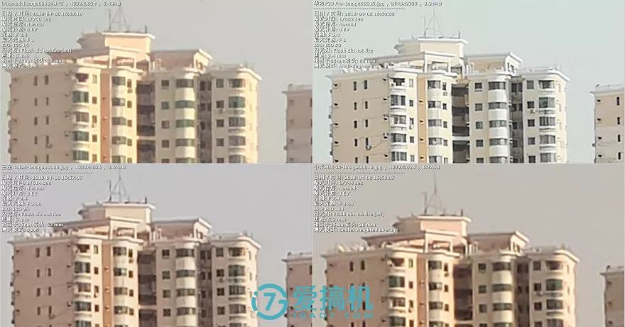 昼間写真局部アップ