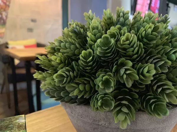 iPhoneXS Maxの撮った写真