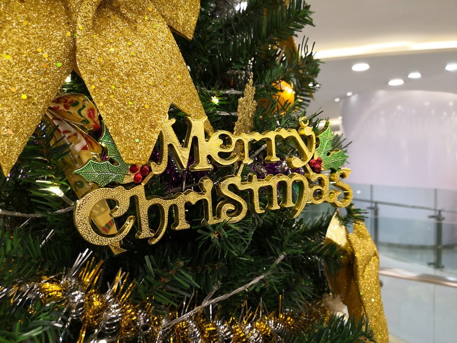 撮影写真サンプル