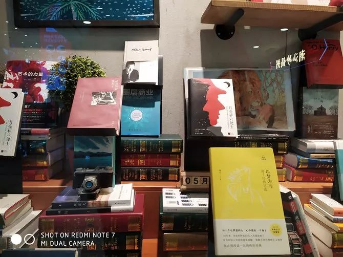 撮影写真サンプル