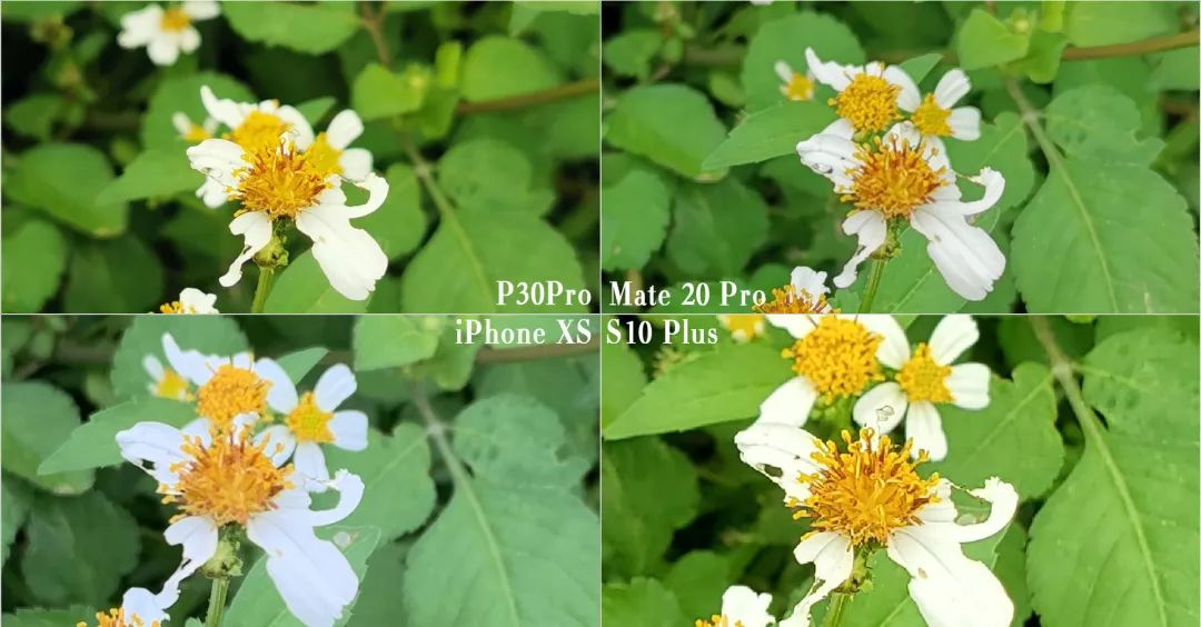 各機種のサンプル写真の比較