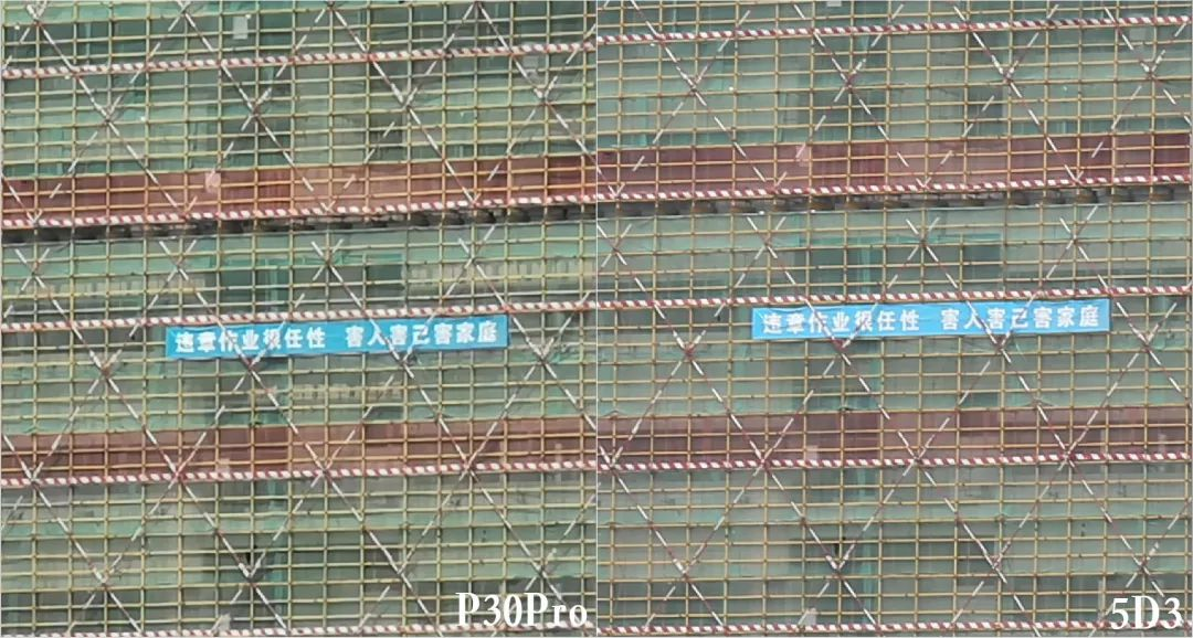 各機種のサンプル写真の比較