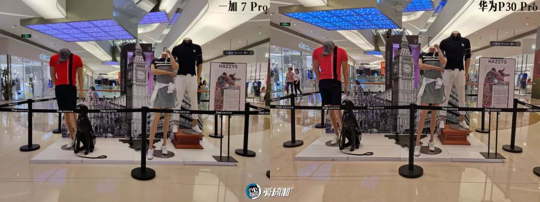 OnePlus 7 Pro撮影写真サンプル|OnePlus 7 Proレビュー