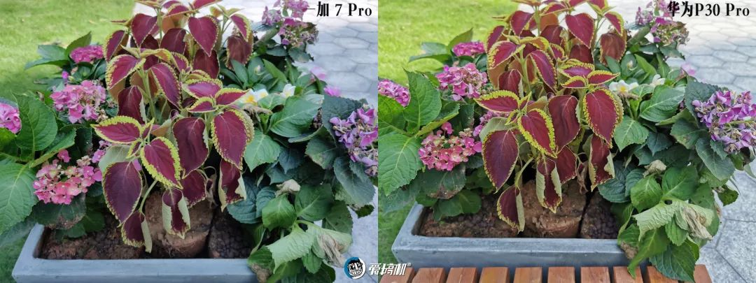 OnePlus 7 Pro撮影写真サンプル|OnePlus 7 Proレビュー