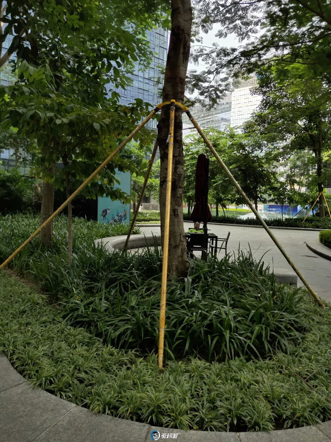 メインカメラの撮影写真サンプル①