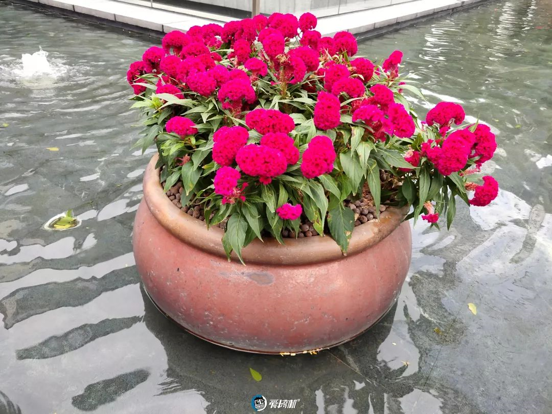 メインカメラの撮影写真サンプル④