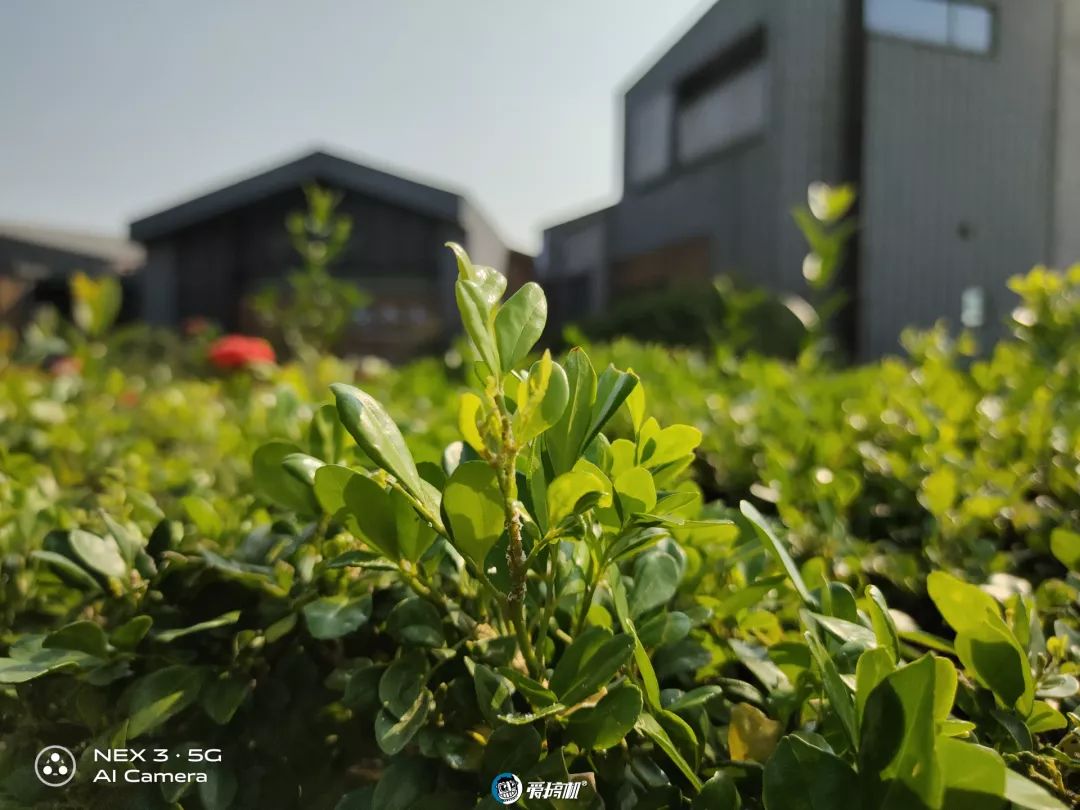 昼間写真サンプル②