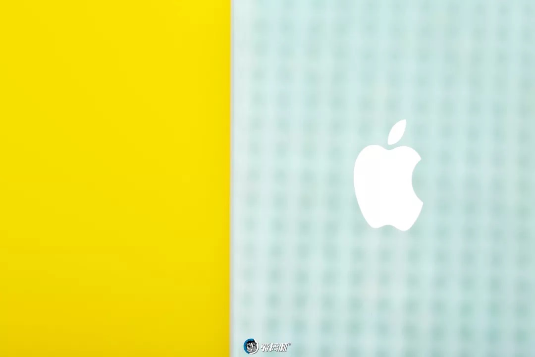 iPhone11の写真⑦