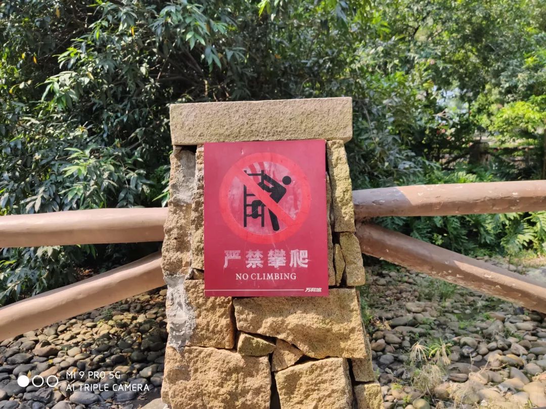 Xiaomi 9 Pro 撮影写真サンプル⑤