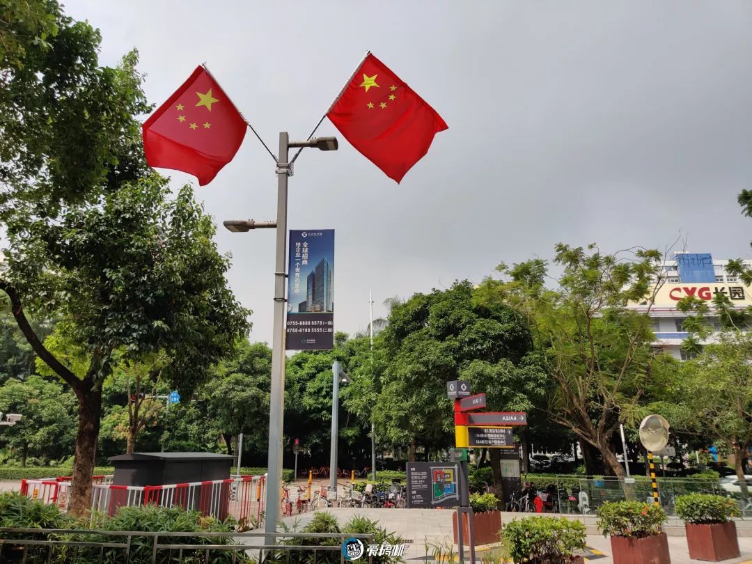 昼間写真サンプル④|OnePlus 7T レビュー