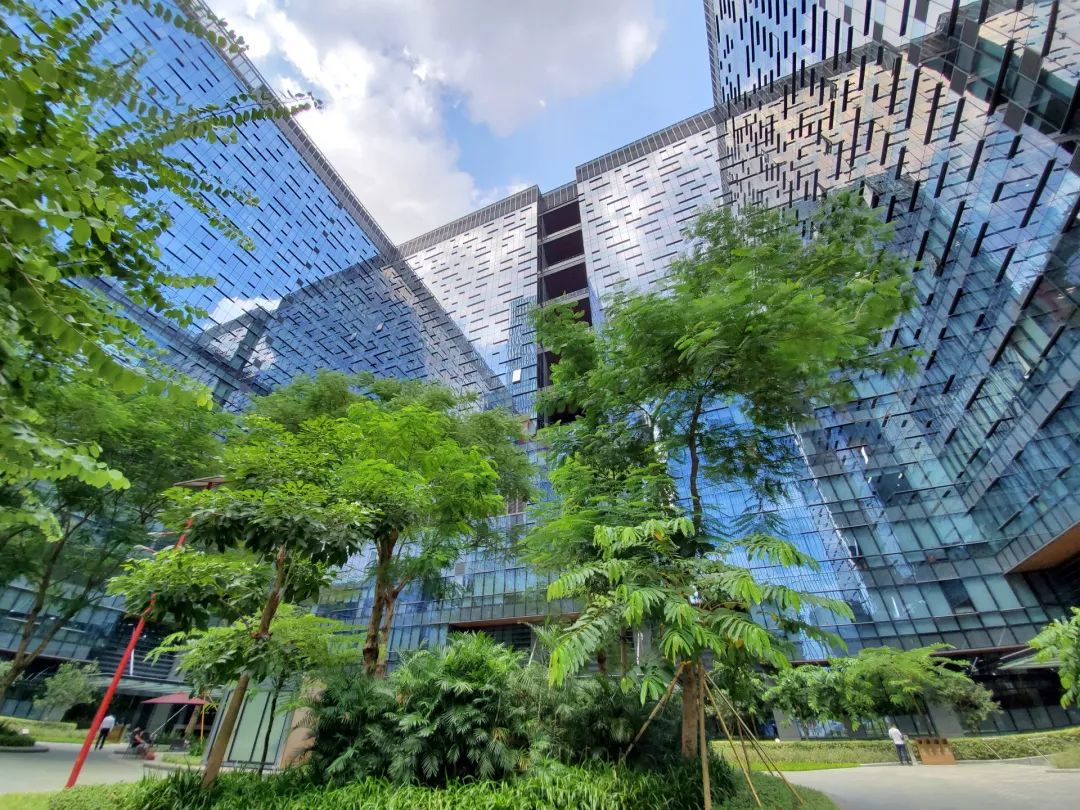 超広角モード写真サンプル②