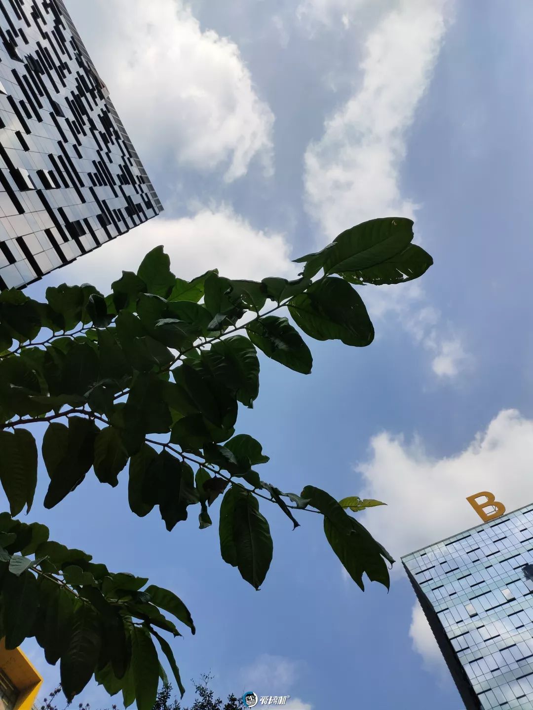 メインカメラ撮影写真サンプル②