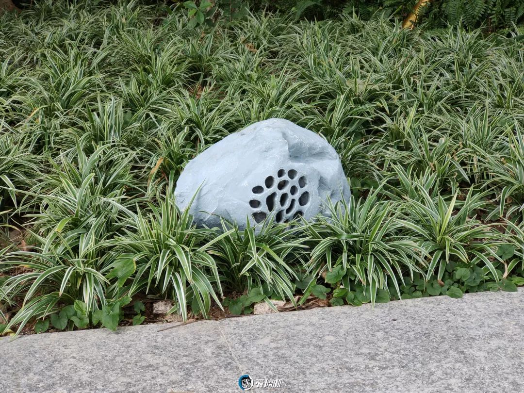 望遠モード撮影写真サンプル①