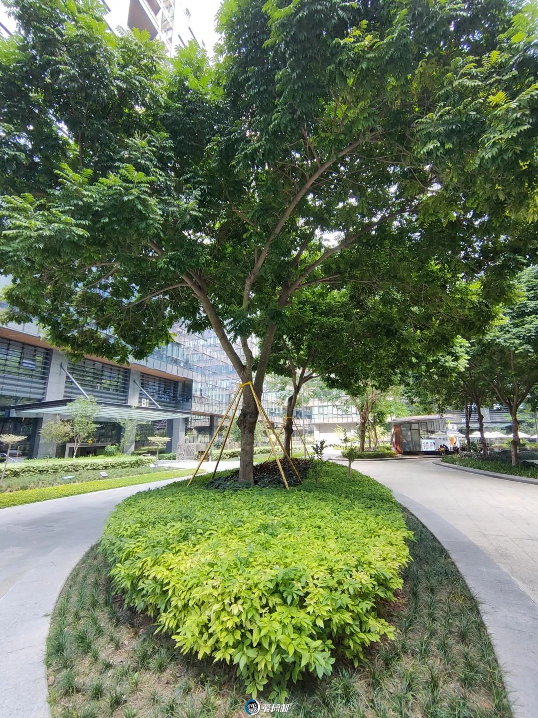 超広角モード撮影写真サンプル②