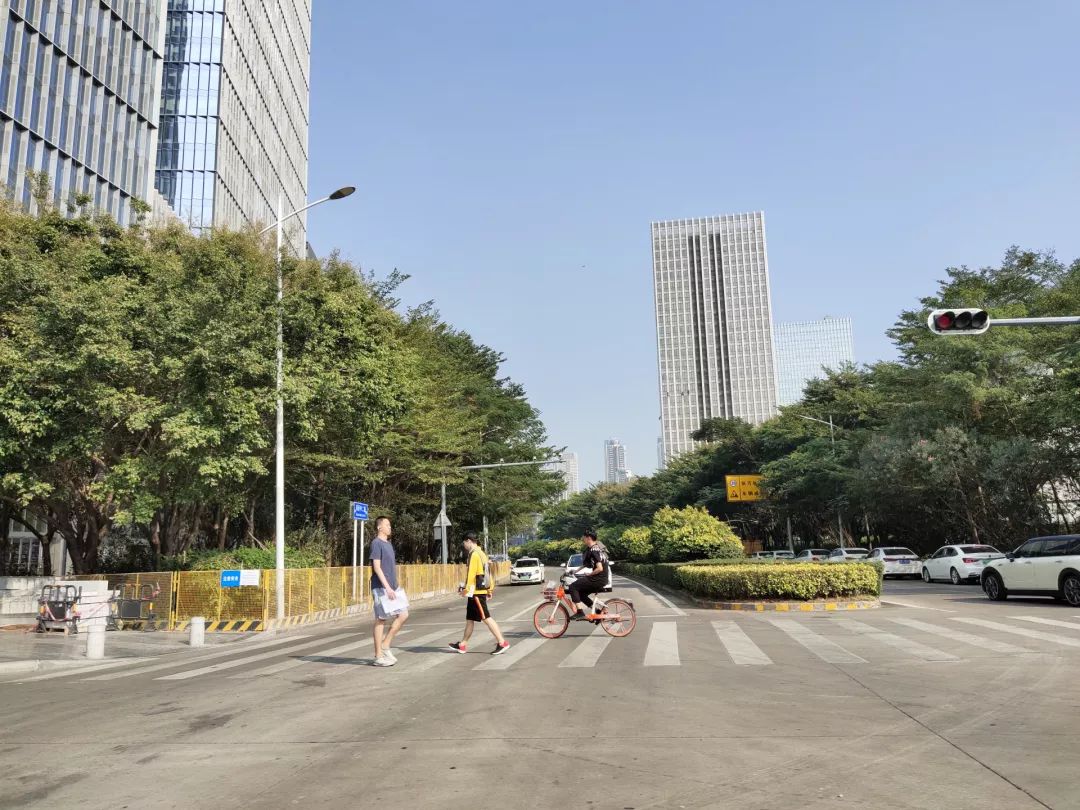 VIVO S5撮影写真サンプル①