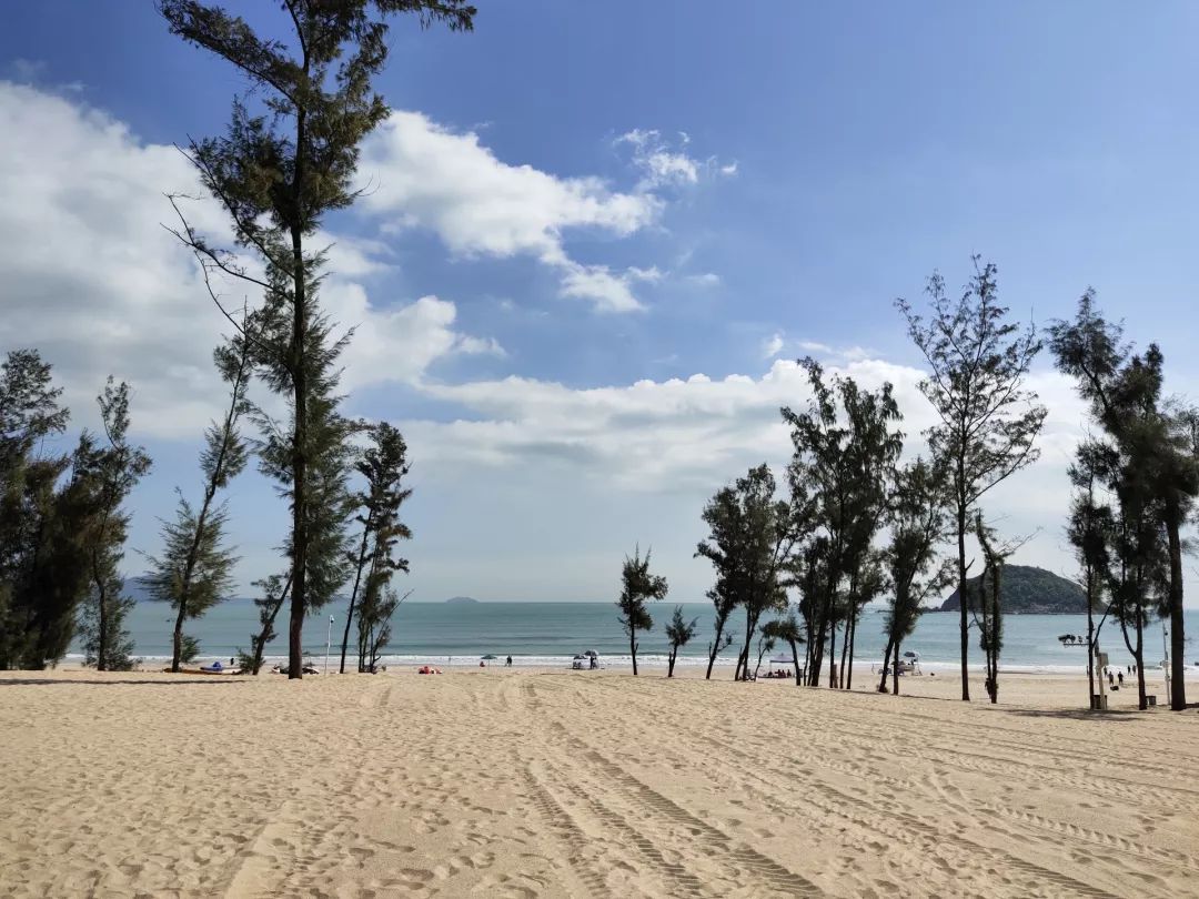 VIVO S5撮影写真サンプル②