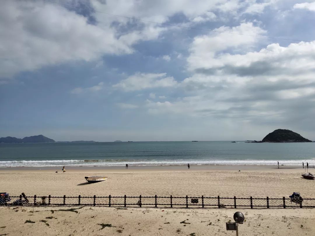 VIVO S5撮影写真サンプル③