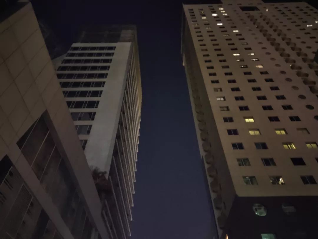 VIVO S5撮影写真サンプル⑥