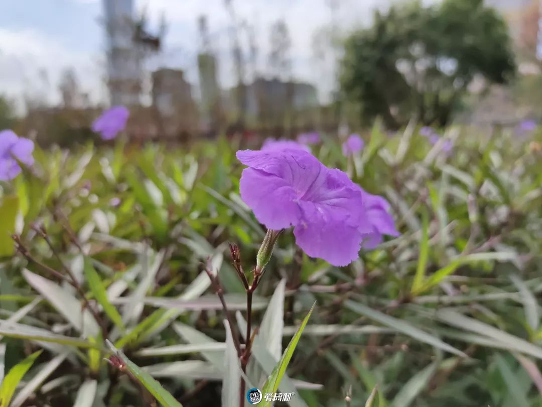 撮影写真サンプル①