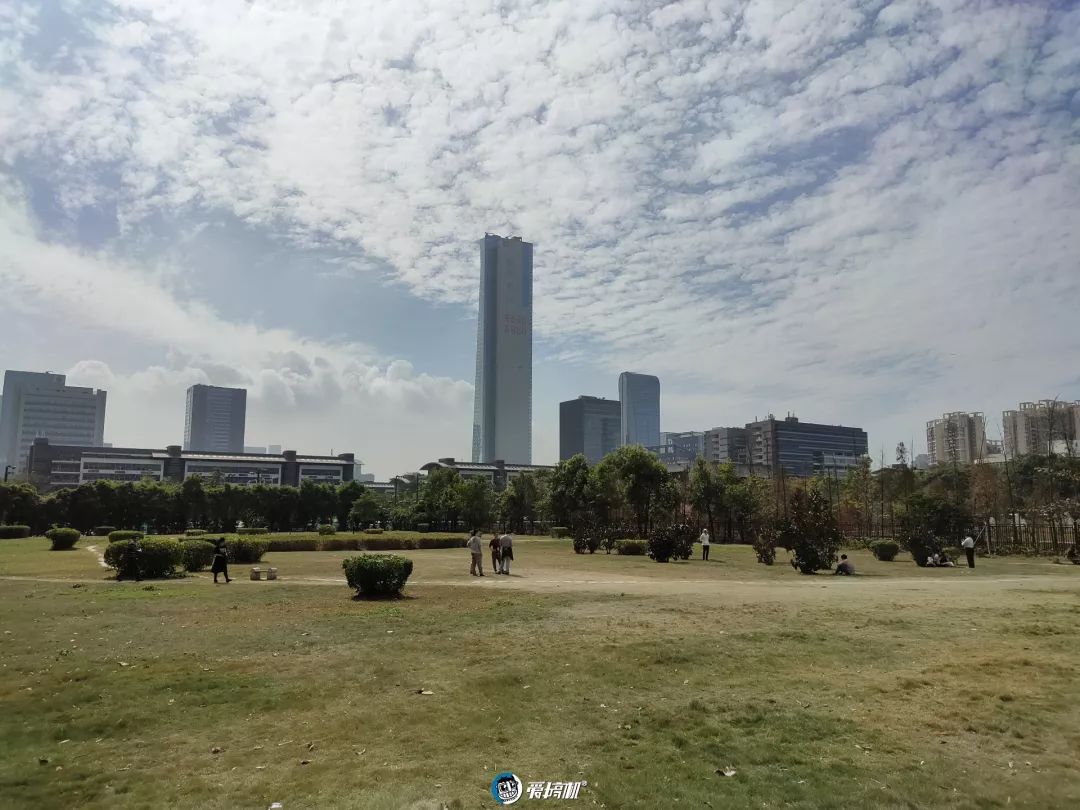 撮影写真サンプル②