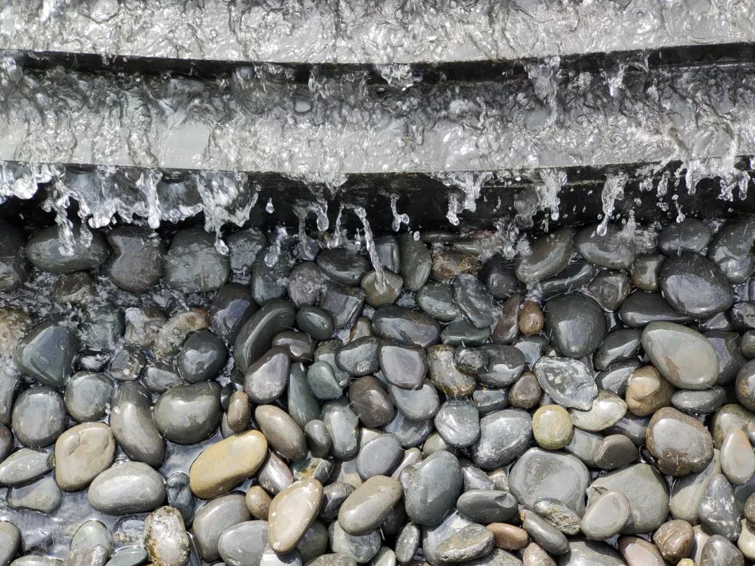 2倍望遠モード撮影写真サンプル②