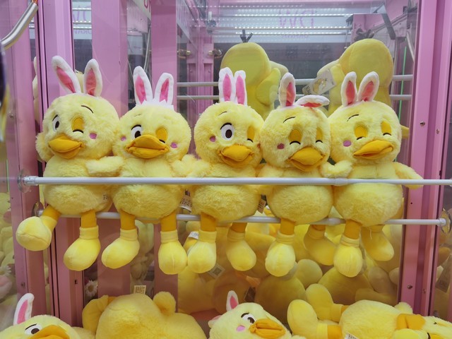 Huawei P40 Proのディフォルトモード撮影写真のサンプル