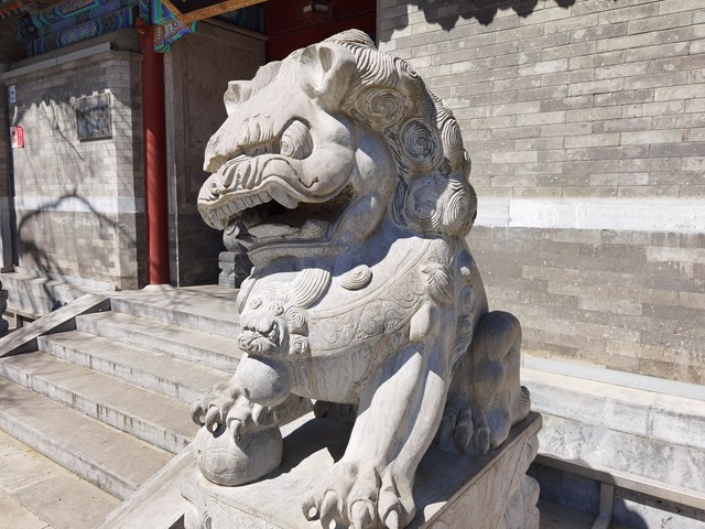 Huawei P40 Proのディフォルトモード撮影写真のサンプル